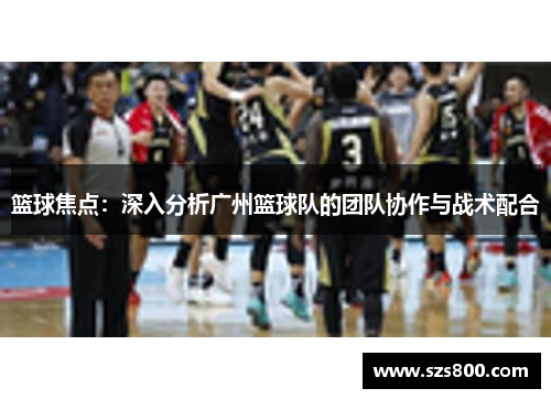 篮球焦点：深入分析广州篮球队的团队协作与战术配合