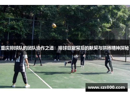 重庆排球队的团队协作之道：排球巨献背后的默契与拼搏精神探秘