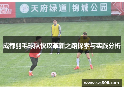 成都羽毛球队快攻革新之路探索与实践分析