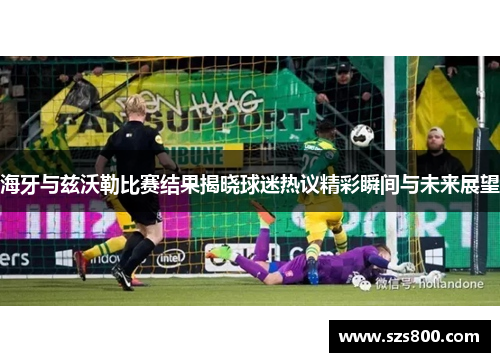 海牙与兹沃勒比赛结果揭晓球迷热议精彩瞬间与未来展望